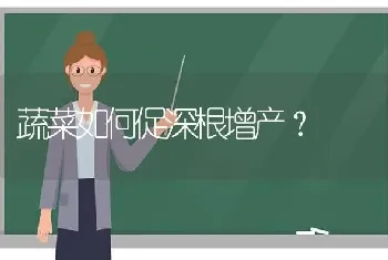 蔬菜如何促深根增产?