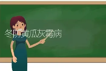 冬防黄瓜灰霉病