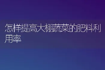 怎样提高大棚蔬菜的肥料利用率