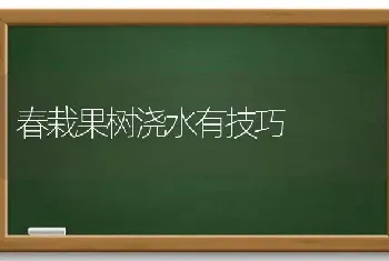 春栽果树浇水有技巧