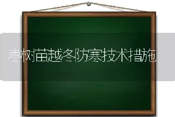 枣树苗越冬防寒技术措施