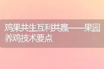 鸡果共生互利共赢——果园养鸡技术要点