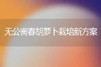 无公害春胡萝卜栽培新方案