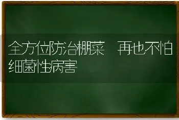 全方位防治棚菜 再也不怕细菌性病害