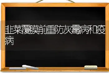 韭菜覆膜前重防灰霉病和疫病