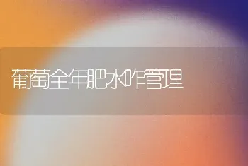 葡萄全年肥水咋管理