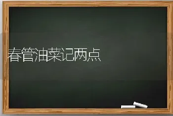 春管油菜记两点