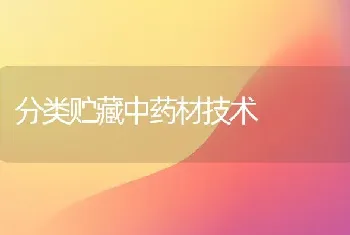 分类贮藏中药材技术