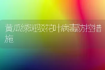 黄瓜绿斑驳花叶病毒防控措施