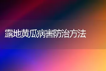 露地黄瓜病害防治方法