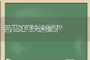 苦瓜如何快速催芽?