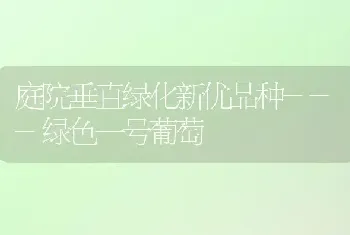 庭院垂直绿化新优品种---绿色一号葡萄