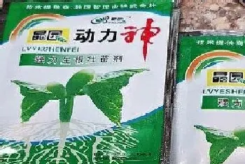 生根粉可以浇兰花吗?