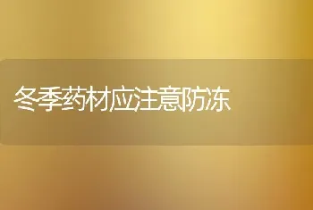 冬季药材应注意防冻