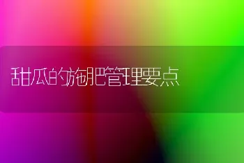 甜瓜的施肥管理要点