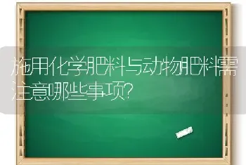 施用化学肥料与动物肥料需注意哪些事项?