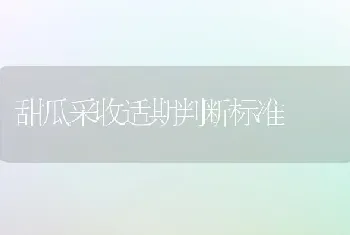 甜瓜采收适期判断标准