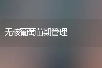 无核葡萄苗期管理