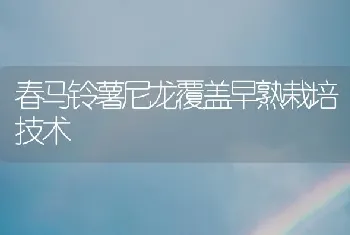 春马铃薯尼龙覆盖早熟栽培技术