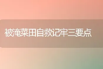 被淹菜田自救记牢三要点