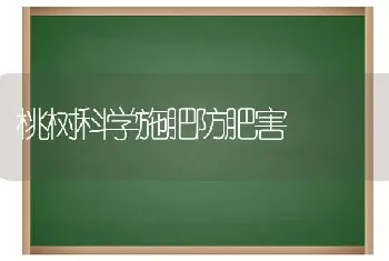 桃树科学施肥防肥害