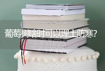 葡萄树啥时可以埋土防寒?