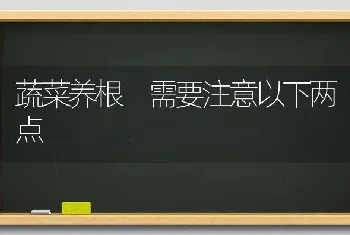 蔬菜养根 需要注意以下两点