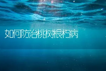 如何防治桃树根朽病