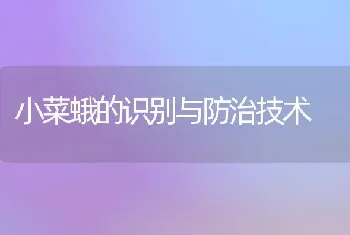 小菜蛾的识别与防治技术