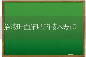 沼液叶面施肥的技术要点