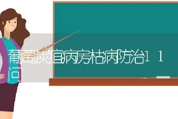 葡萄炭疽病房枯病防治11问