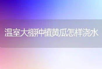 温室大棚种植黄瓜怎样浇水