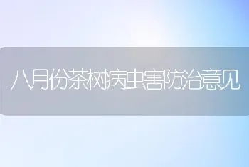 八月份茶树病虫害防治意见