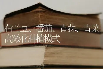 荷兰豆、番茄、青蒜、青菜高效化种植模式