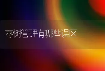 枣树管理有哪些误区