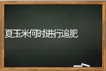 夏玉米何时进行追肥