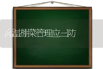 高温棚菜管理应三防