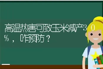 高温热害可致玉米减产30%,咋预防?