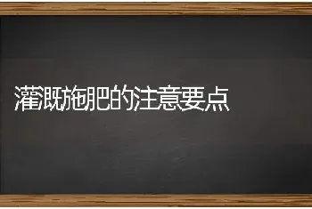 灌溉施肥的注意要点