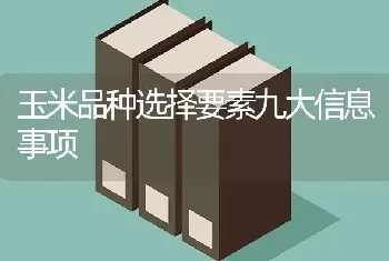 玉米品种选择要素九大信息事项