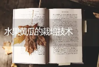 水果黄瓜的栽培技术