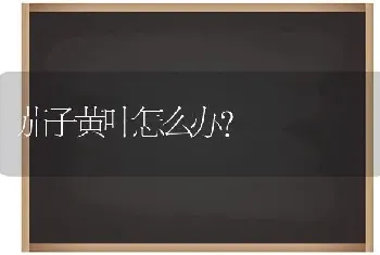 茄子黄叶怎么办?