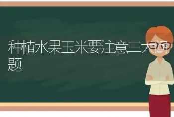 种植水果玉米要注意三大问题