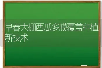 早春大棚西瓜多膜覆盖种植新技术