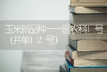 玉米新品种——晋农科1号(并单12号)