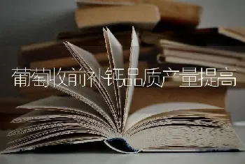 葡萄收前补钙品质产量提高