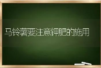 马铃薯要注意钾肥的施用