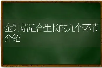 金针菇适合生长的九个环节介绍